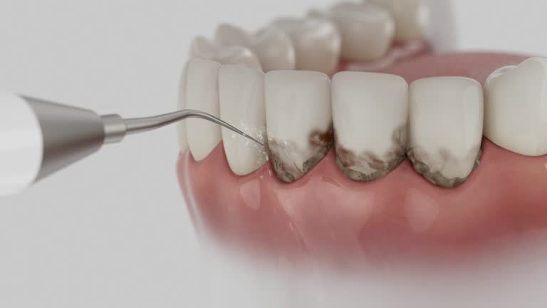 Reliable Dental contractor in Alma, MI by Dentist Open Now